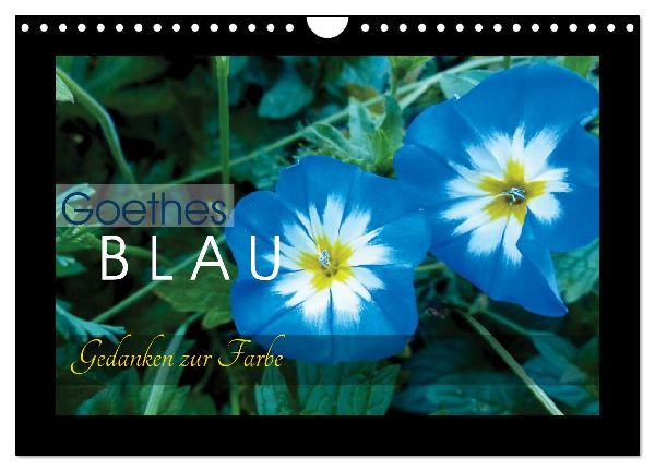 Goethes Blau. Gedanken zur Farbe (Wandkalender 2026 DIN A4 quer), CALVENDO Monatskalender