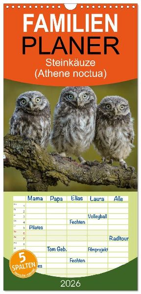 Familienplaner 2026 - Steinkäuze (Athene noctua) mit 5 Spalten (Wandkalender, 21 x 45 cm) CALVENDO