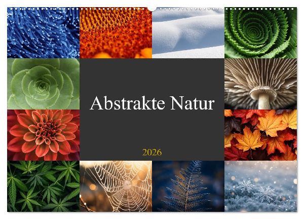 Abstrakte Natur (Wandkalender 2026 DIN A2 quer), CALVENDO Monatskalender