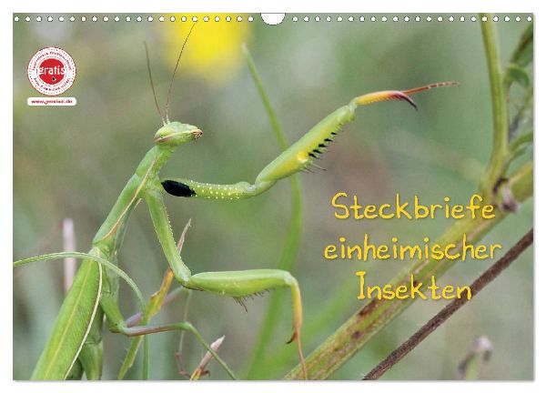 GEOclick Lernkalender: Insekten (Wandkalender 2026 DIN A3 quer), CALVENDO Monatskalender