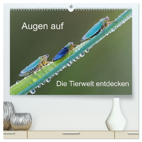 Augen auf - versteckte Tierwelt (hochwertiger Premium Wandkalender 2026 DIN A2 quer), Kunstdruck in Hochglanz