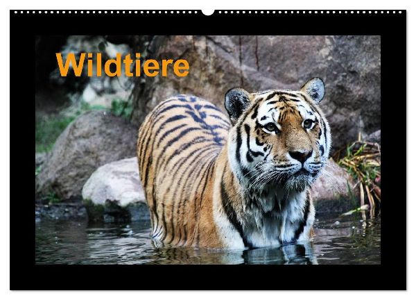 Wildtiere (Wandkalender 2026 DIN A2 quer), CALVENDO Monatskalender
