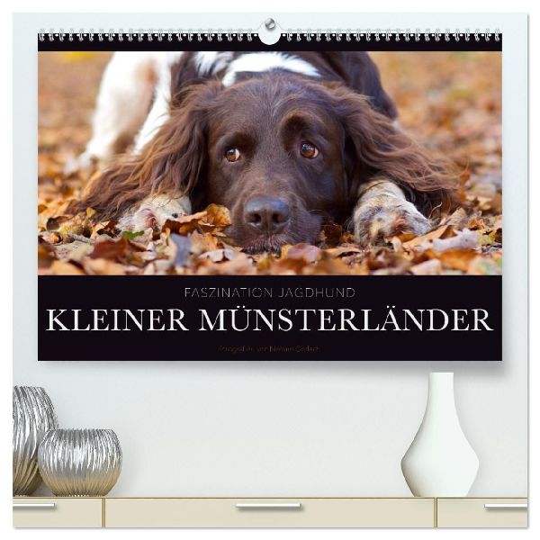 Faszination Jagdhund - Kleiner Münsterländer (hochwertiger Premium Wandkalender 2026 DIN A2 quer), Kunstdruck in Hochglanz