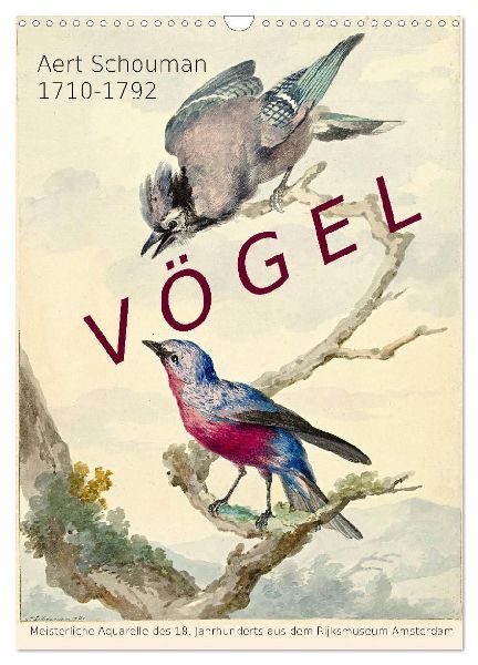 Aert Schouman. VÖGEL (Wandkalender 2026 DIN A3 hoch), CALVENDO Monatskalender