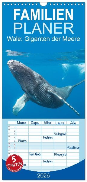 Familienplaner 2026 - Wale: Giganten der Meere mit 5 Spalten (Wandkalender, 21 x 45 cm) CALVENDO