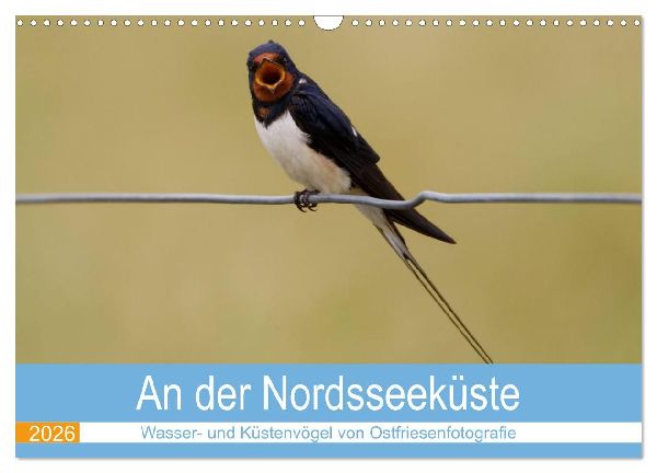 An der Nordseeküste - Wasser- und Küstenvögel fotografiert von Ostfriesenfotografie (Wandkalender 2026 DIN A3 quer), CALVENDO Monatskalender
