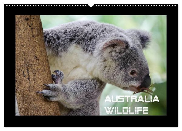 Australia Wildlife (Wandkalender 2026 DIN A2 quer), CALVENDO Monatskalender