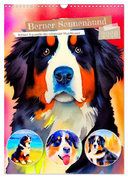 Berner Sennenhund 2026. Schöne Aquarelle der schweizer Hunderasse (Wandkalender 2026 DIN A3 hoch), CALVENDO Monatskalender