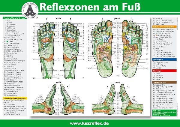 Reflexzonen am Fuß (2 Tafeln A4)