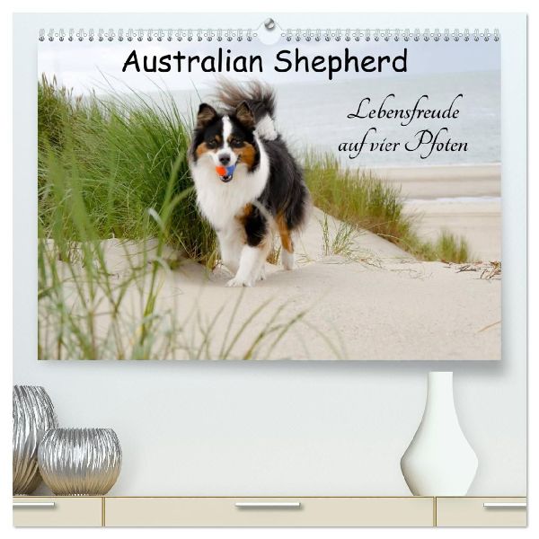 Australian Shepherd - Lebensfreude auf vier Pfoten (hochwertiger Premium Wandkalender 2026 DIN A2 quer), Kunstdruck in Hochglanz