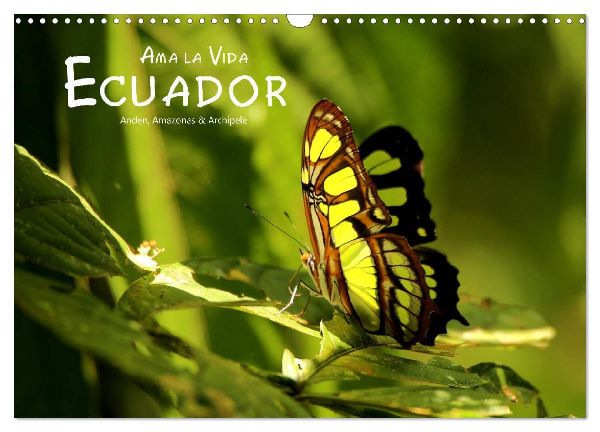 Ama la Vida Ecuador (Wandkalender 2026 DIN A3 quer), CALVENDO Monatskalender